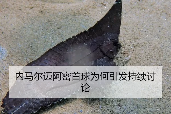 nei-ma-er-mai-a-mi-shou-qiu-wei-he-yin-fa-chi-xu-tao-lun-2-569.jpg